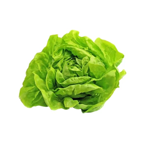 Lechuga baby ecológica 2 uds. - 1 ud - Imagen del producto en Findit