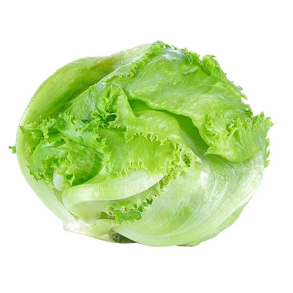 Lechuga iceberg ecológica 1ud. - 1 ud - Imagen del producto en Findit