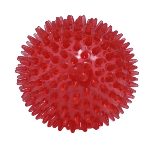 SANDIMAS Pelota de plástico con pinchos, juguete para perros SANDIMAS - 1 ud - Imagen del producto en Findit