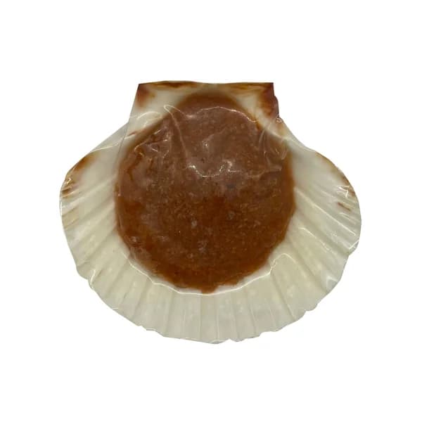 PREST Txangurro a la donostiarra en concha de vieira 60 g. - 0.06 kg - Imagen del producto en Findit