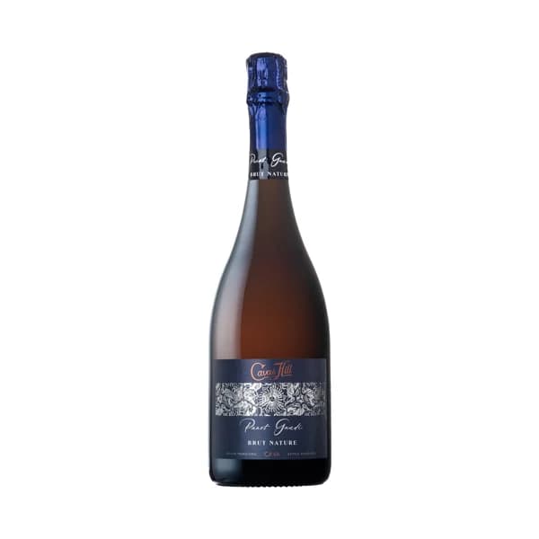 CAVAS HILL Panot Gaudí Cava brut nature elaborado en Catalunya botella de 75 cl. - 1 ud - Imagen del producto en Findit