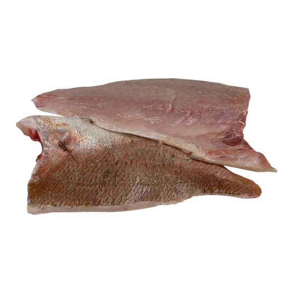 Pargo de cría mostrador - Filetes - 1 ud - Imagen del producto en Findit