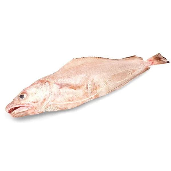 Locha del País Vasco, pieza al peso aprox. 1.1 kg - 1 ud - Imagen del producto en Findit