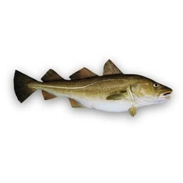 Bacalao 1-2 kg aprox. - 1 kg - Imagen del producto en Findit