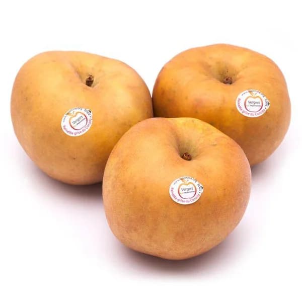 Manzana Reineta Parda Selección, al peso, compra mínima 1 kg - 1 kg - Imagen del producto en Findit