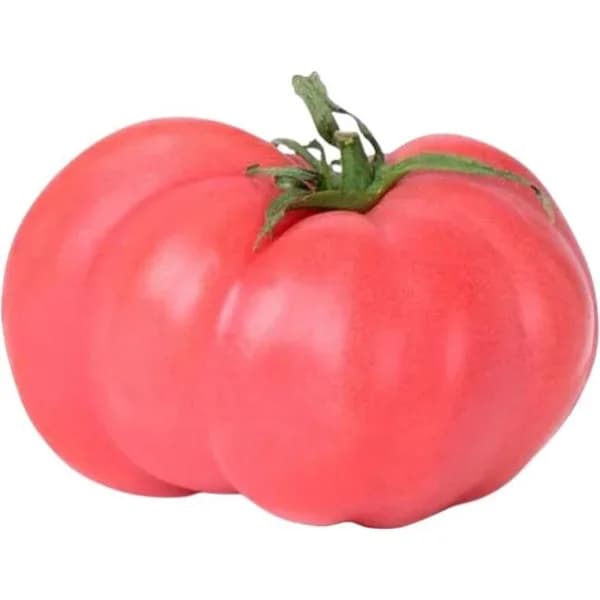 Tomate rosa, al peso, compra mínima 500 g - 0.5 kg - Imagen del producto en Findit