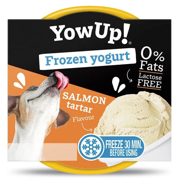 Yogur helado sabor salmon tartar Yow up tarrina 110 g - 1 ud - Imagen del producto en Findit