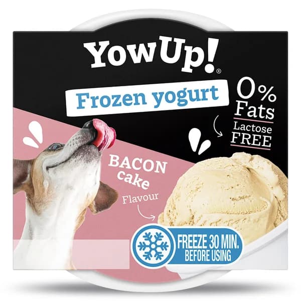 Yogur helado sabor bacon cake Yow up tarrina 110 g - 1 ud - Imagen del producto en Findit