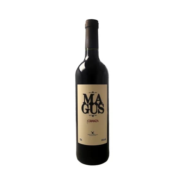 MAGUS  Vino tinto crianza con D.O. Ribera del Guadiana (Extremadura) MAGUS botella de 75 cl. - 1 ud - Imagen del producto en Findit