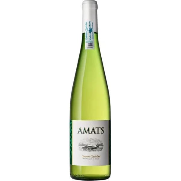 Txakoli D.O. Getaria AMATS, botella 75 cl - 0.75 l - Imagen del producto en Findit