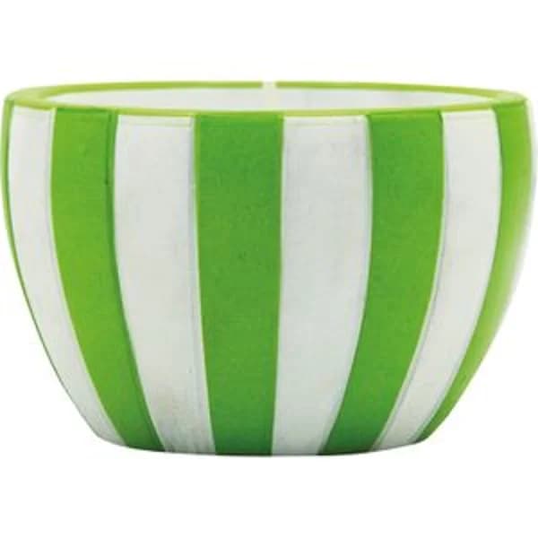 Maceta Circus Surtida Citronela - 1 ud - Imagen del producto en Findit