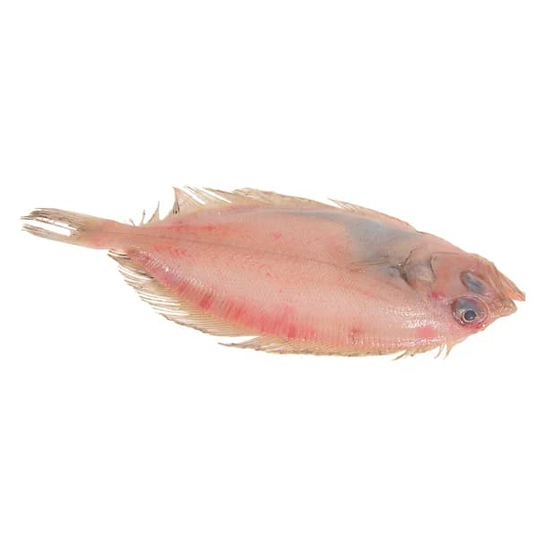 Gallitos mostrador - 1 ud - Imagen del producto en Findit
