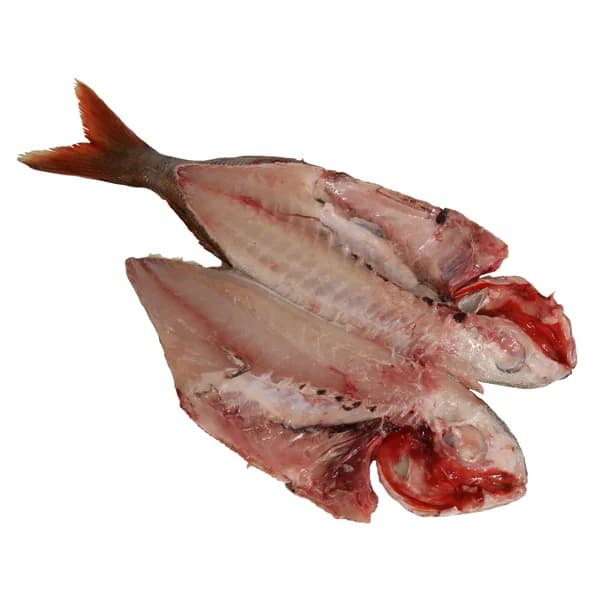 Besugo pequeño mostrador - Espalda con espinas - 1 ud - Imagen del producto en Findit