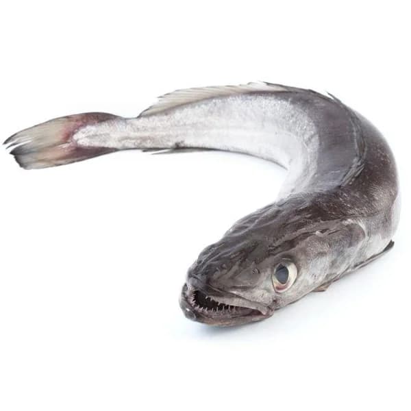 Merluza de pincho del País Vasco (1-2 kg), pieza al peso aprox. 1.5 kg - 1 ud - Imagen del producto en Findit