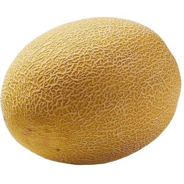 Melón Cantaloup, pieza al peso aprox. 1 kg - 1 ud - Imagen del producto en Findit