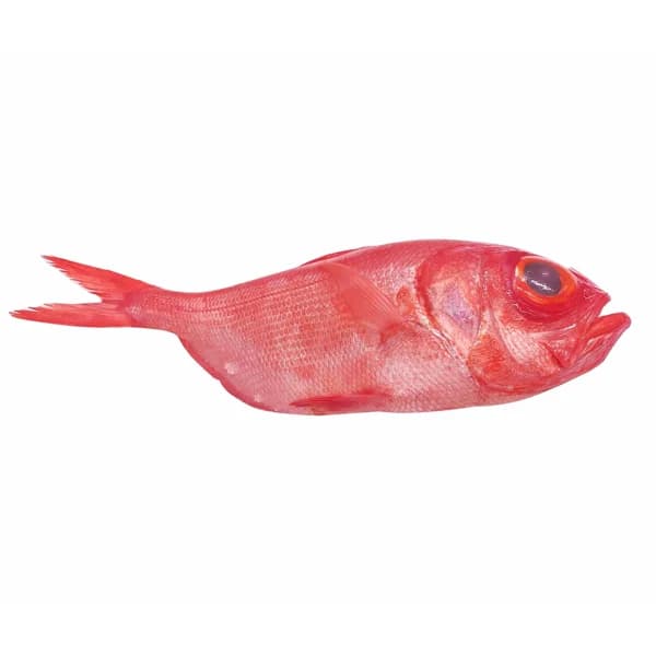 Alfonsiño mostrador - Horno dos cortes - 1 ud - Imagen del producto en Findit