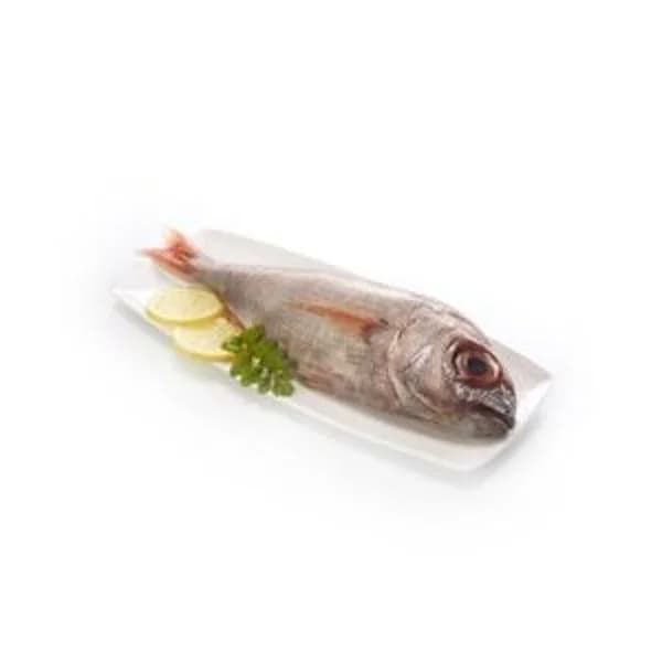 Besugo (1 kg aprox/pieza) - 1 ud - Imagen del producto en Findit