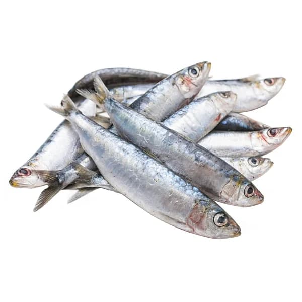 Sardina parrocha - 1 ud - Imagen del producto en Findit