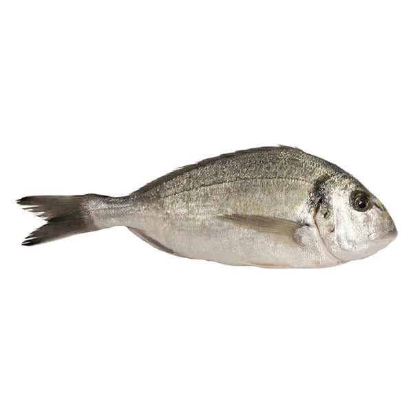 ALCAMPO CULTIVAMOS LO BUENO Dorada de estero pequeña - Entera - 1 ud - Imagen del producto en Findit