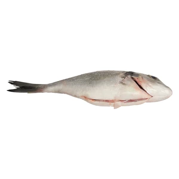 ALCAMPO CULTIVAMOS LO BUENO Dorada de estero pequeña - Entera limpia - 1 ud - Imagen del producto en Findit