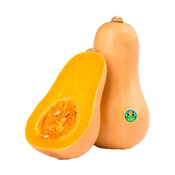 ALCAMPO CULTIVAMOS LO BUENO ECOLÓGICO Calabaza bio 800 g. - 0.8 kg - Imagen del producto en Findit