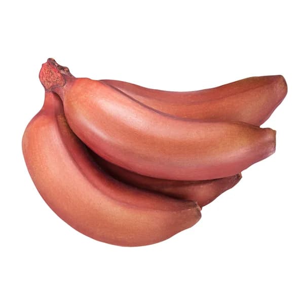 ALCAMPO CULTIVAMOS LO BUENO Plátano rojo - 1 ud - Imagen del producto en Findit