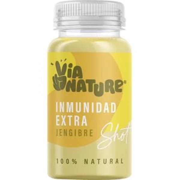 Shot de jengibe 100 ml - 0.1 l - Imagen del producto en Findit