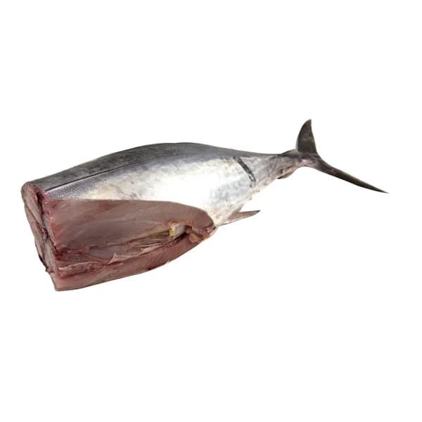 Bonito Mostrador - Trozo unico - 1 ud - Imagen del producto en Findit