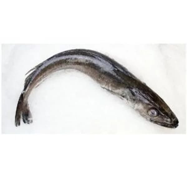 Pescadilla (500-800 g aprox) - 1 kg - Imagen del producto en Findit