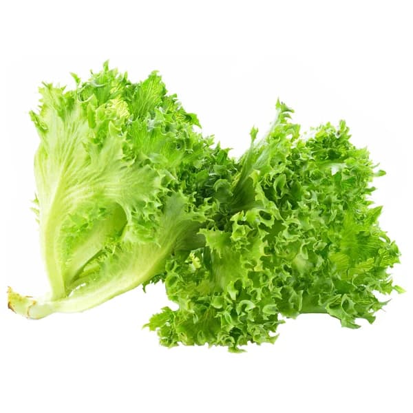 Escarola rizada 1 Unidad - 0.4 kg - Imagen del producto en Findit