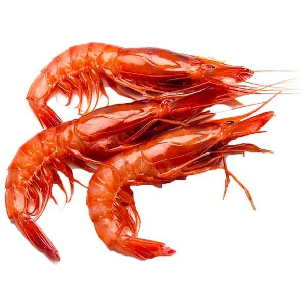 Gamba grande roja (80/100). - 1 ud - Imagen del producto en Findit