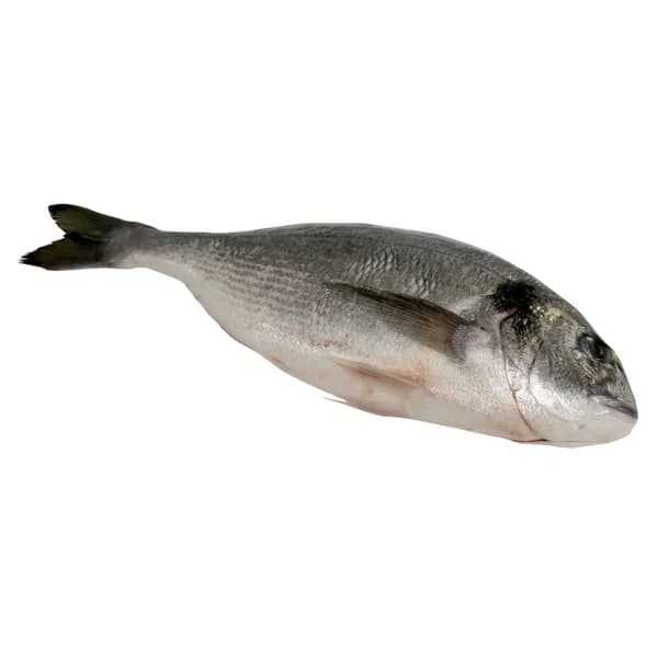 Dorada grande mostrador - 1 ud - Imagen del producto en Findit