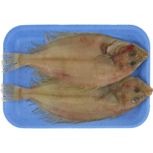 Gallos pequeños - 1 ud - Imagen del producto en Findit
