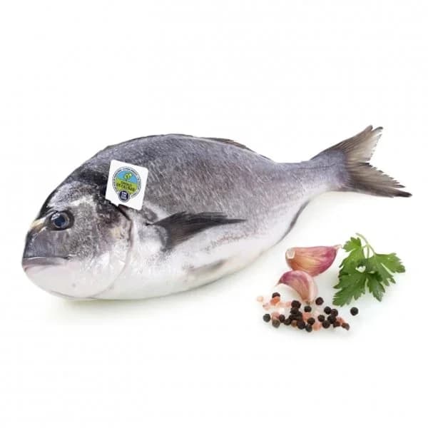 Dorada Círculo de Calidad 600 g aprox - 1 ud - Imagen del producto en Findit