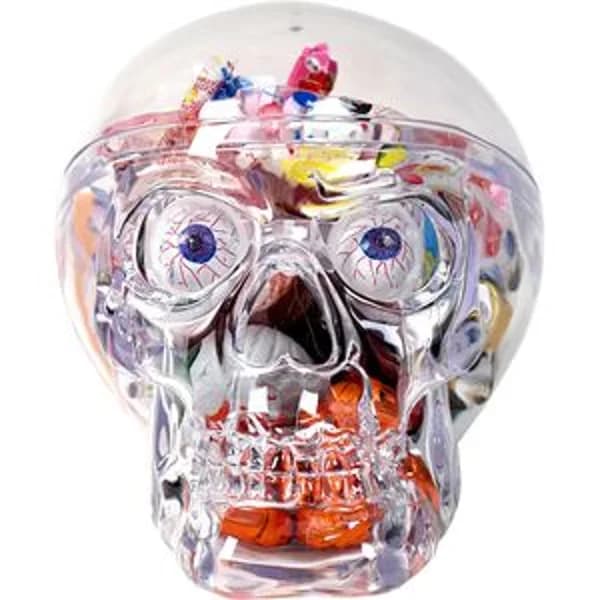Calavera de cristal con chuches 200 g - 0.08 ud - Imagen del producto en Findit