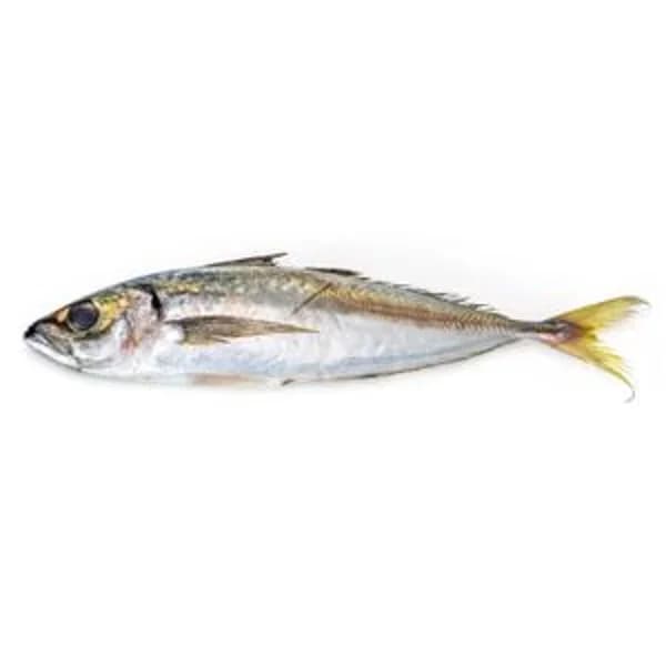 Jurel - 0.2 kg - Imagen del producto en Findit