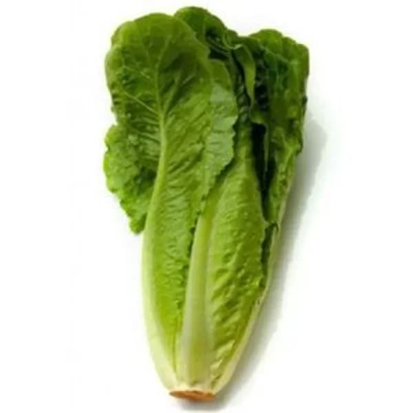 Lechuga oreja de burro (450 g aprox) - 1 ud - Imagen del producto en Findit