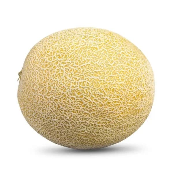 Melón Galia - 1.62 kg - Imagen del producto en Findit