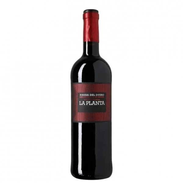 Vino Tinto D.o Ribera Duero - 0.75 l - Imagen del producto en Findit