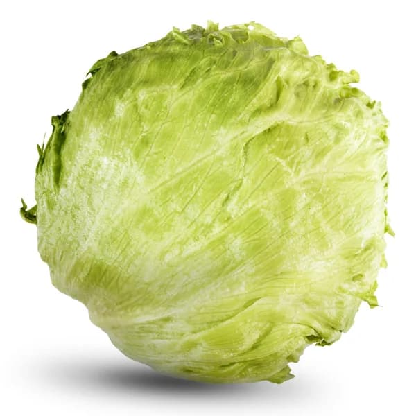 Lechuga Iceberg - 1 ud - Imagen del producto en Findit