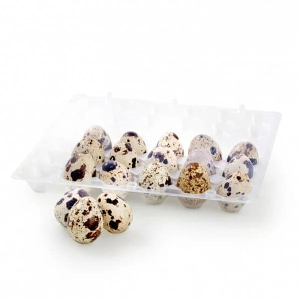 Huevo de codorniz Carrefour 18 ud. - 18.05 ud - Imagen del producto en Findit