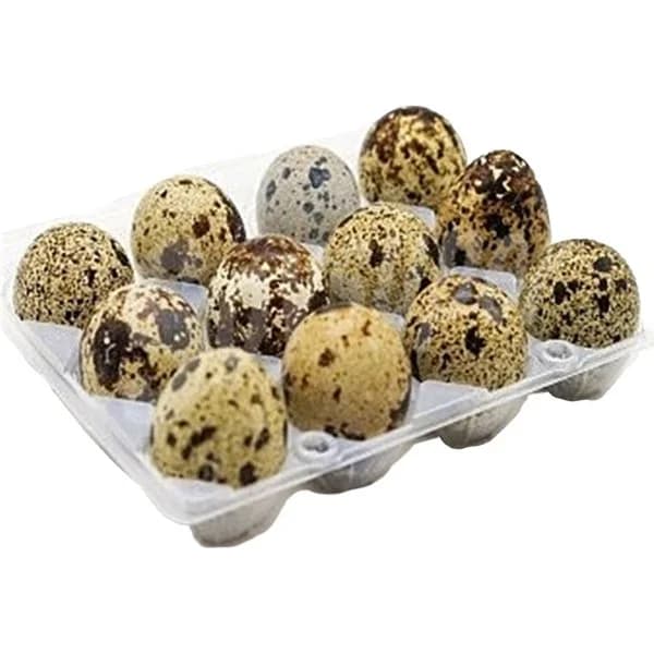 Huevos de Codorniz 18U. - 18.05 ud - Imagen del producto en Findit