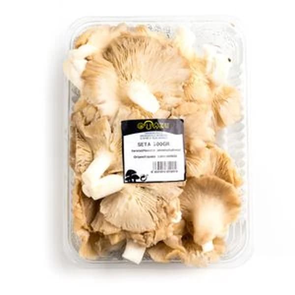 Seta plancha 500 g - 0.5 kg - Imagen del producto en Findit
